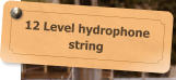 12 Level hydrophone string